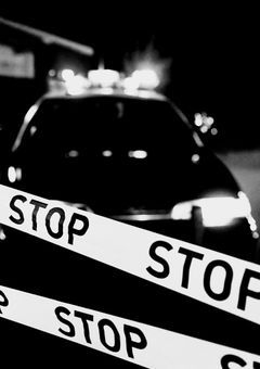 貴方が捕まえてください │ lrn