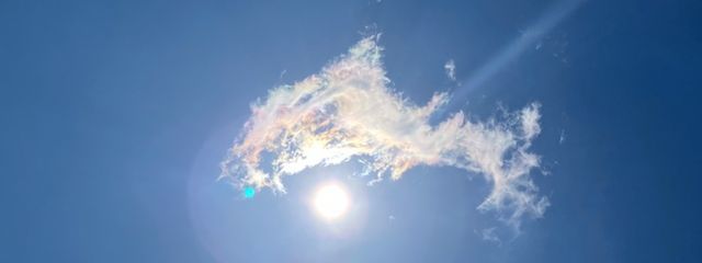 あおさんの壁紙画像