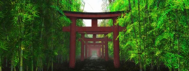伏見 八雲さんの壁紙画像