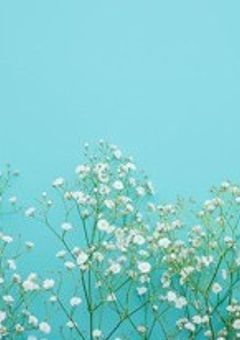 愛をちょうだい。