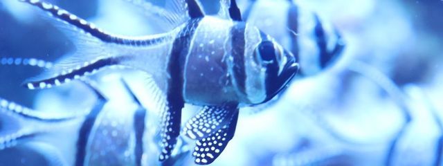 木下さんの壁紙画像