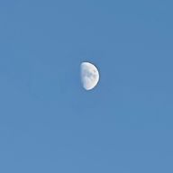 MOONさんのアイコン画像