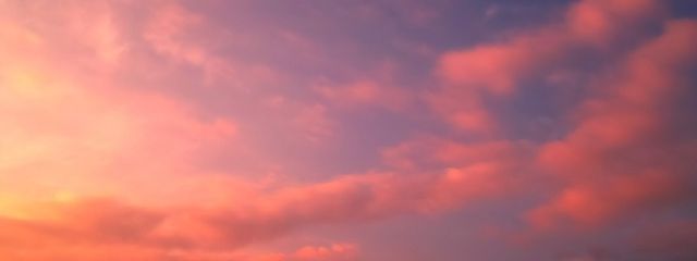 夕日  🐢投稿 不定期更新さんの壁紙画像