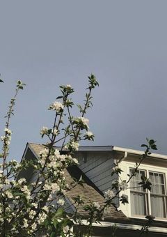 拾ってくれたのは大物声優様＿