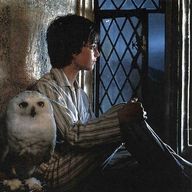 加藤さんのアイコン画像