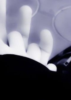       𝐃𝐢𝐬𝐭𝐨𝐫𝐭 , 