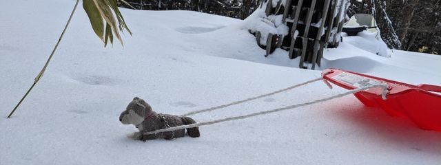 クローバー🍀（書き溜め中）さんの壁紙画像