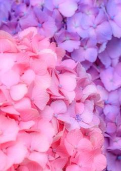 この世界は本物でしょうか？