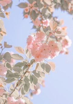 ‪⛄️‪🩷さんの愛され短編集．