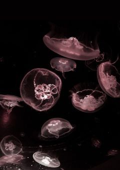 激  し  く  重  た  い  ．