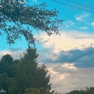 かなたさんのアイコン画像