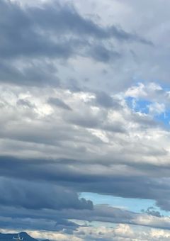 Sing a song & Beat a step