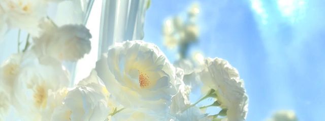 m o n e .さんの壁紙画像