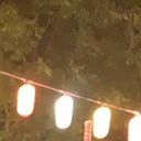 (なまえ)