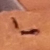 揚げもなさんのアイコン画像