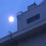 (^ ^)さんのアイコン画像