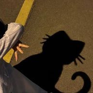 こねこさんのアイコン画像