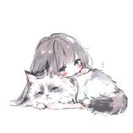 Senaさんのアイコン画像