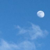 腐☆さんのアイコン画像