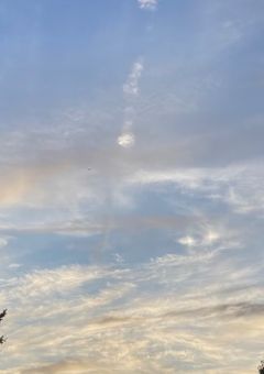 鬼殺隊ってこんなんだっけ？（R18無し）