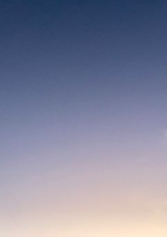 例え鬼でも   【鬼滅の刃】