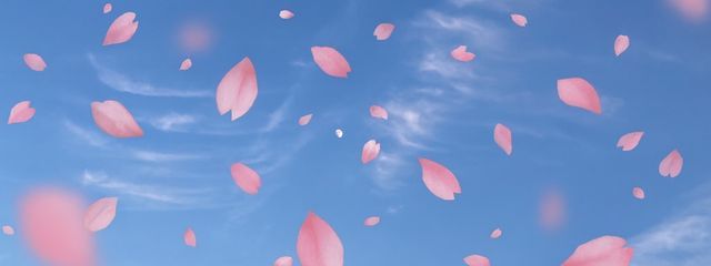 🌸ひぃ🌸さんの壁紙画像