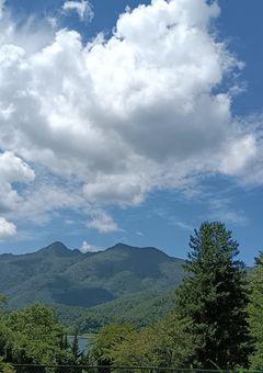 人生楽しい どうしよ…