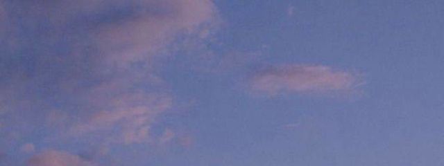 わらびもち  🐶🫧🕊️さんの壁紙画像