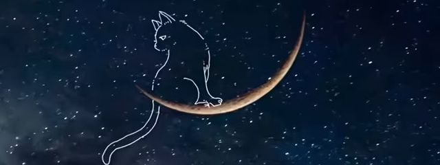 葵　水羽さんの壁紙画像