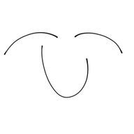 りとますさんのアイコン画像