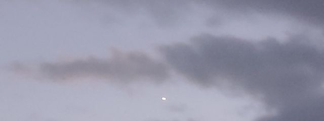 すみれ(低浮上)さんの壁紙画像