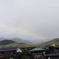 すみれ🖤🫧/🏆🥂💛/🦋💍さんのアイコン画像