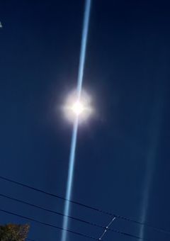 病んだらここへ