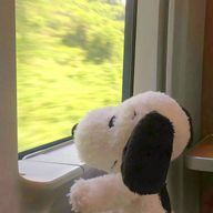 ドットコム.com Minase😎🤖さんのアイコン画像