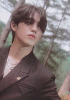 ใ0.1 mm ใฎ ๅข ็ ็ท ใ ใ