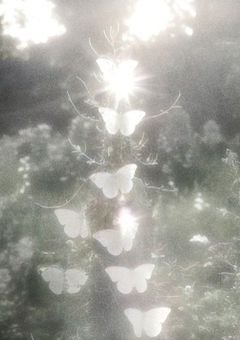 　　connect ❜　