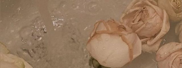 ใใใใ๐ ๐ใใใฎๅฃ็ด็ปๅ