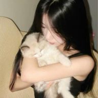 ใใใใ๐ ๐ใใใฎใขใคใณใณ็ปๅ