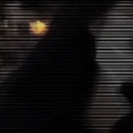 たろう📸📌/必読読んでください！！さんのアイコン画像