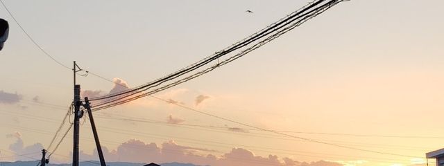 さくらさんの壁紙画像