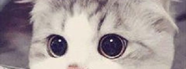 遥人&マカロン#ていふゆーさんの壁紙画像