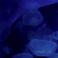 お米粒さんのアイコン画像