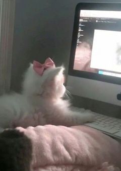 いろいろ