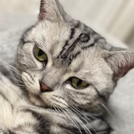 雪白　瑠奈　さんのアイコン画像