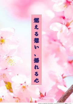 燃える想い、揺れる心