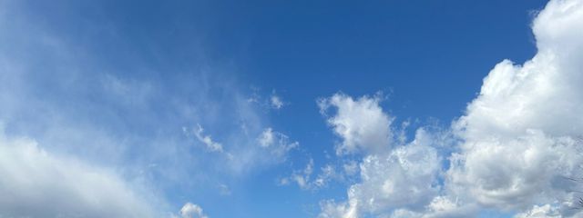 れむれのれもんさんの壁紙画像