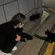 모카🍮さんのアイコン画像