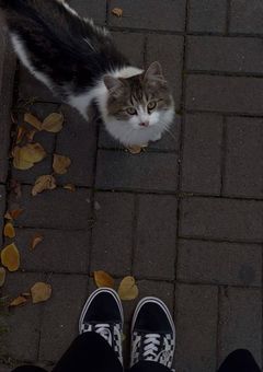 無所のマネは無愛想(？)