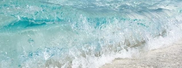 ことりさんの壁紙画像