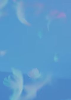 なにわ男子7人からモテモテです